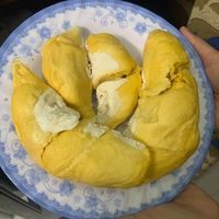 Durian lyophilisé du Vietnam / Haute qualité 100% Ri6 Durian