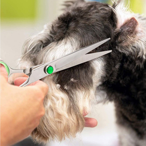 Tijeras profesionales de acero inoxidable para aseo de mascotas, alta calidad - Product Image 1