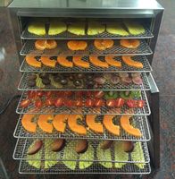 AllSupply 10 Bakjes 304 RVS 110V 850W Wortel Appel Fruit Dehydrator Machine 1 Jaar Garantie 30-80°C Temperatuurregeling