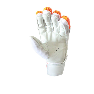 Guantes de bateo de calidad profesional personalizados de alta calidad Guantes de cricket de precio económico - Product Image 3