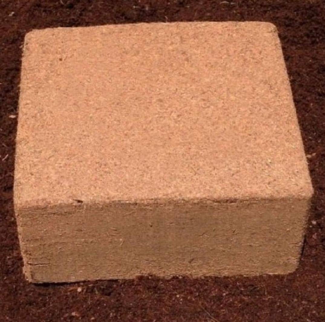 Cocopeat coir block