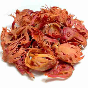 Huile essentielle de macis pure et biologique de qualité supérieure 100% à usage thérapeutique fabriquée par les meilleurs fabricants - Product Image 1