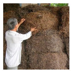 Gelée d'herbe noire sèche pour l'exportation du Vietnam - Product Image 2