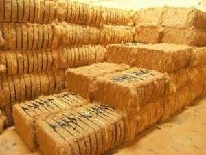 Fiber de coco 100% naturelle et écologique, vente en gros, Fiber de noix de coco - Product Image 4