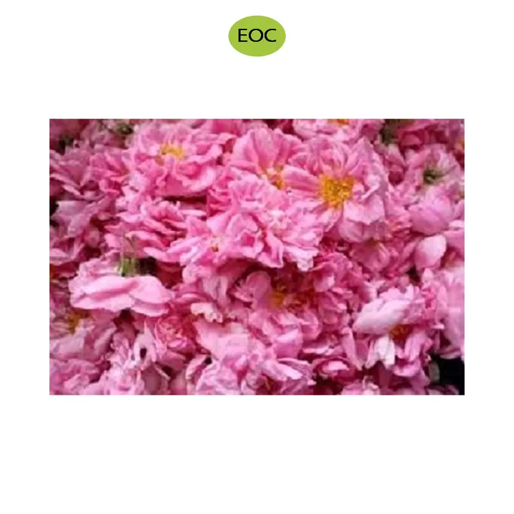 Hot Sale on Superlative Quality Rose Absolute Essential Oil from Worldwide Seller