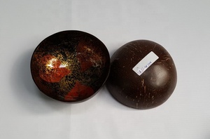 Vente en gros OEM – Nouveaux ensembles de vaisselle colorés en coquilles de noix de coco naturelles polies et écologiques, idéaux pour la rentrée scolaire, à prix abordable, du Vietnam - Product Image 3