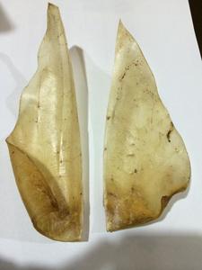 หูกระต่ายแบบแห้งสำหรับสุนัข100% - Product Image 6