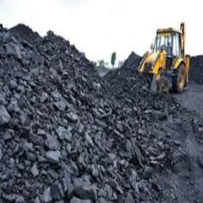الفحم النقي بيع كامل