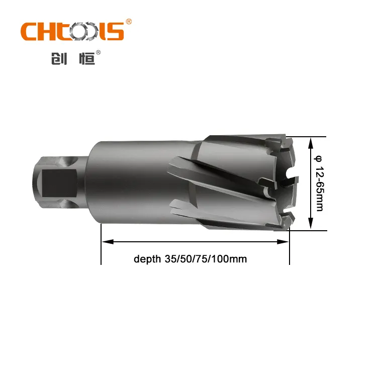Factory price CHTOOLS tct weldon shank broach cutter with universal shank