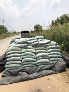 ครีบปลานิลครีบปลา - Product Image 6