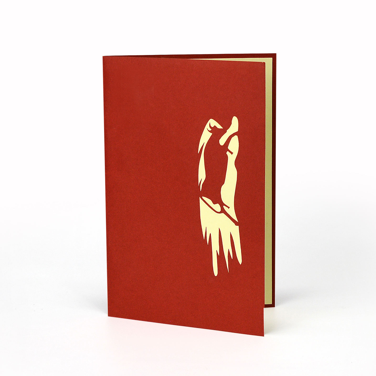 สีน้ำตาล