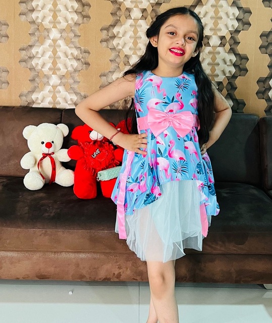 fashion bug party dresses Bug Dress 2X