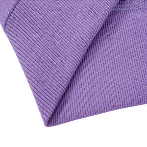 High Quality Purple Ladies Winter Tracksuit Customizable Logo Plus Size Fleece Hoodie <b>Trouser</b> Zipper Closure Elegant Zipper Suit - Product Image 4