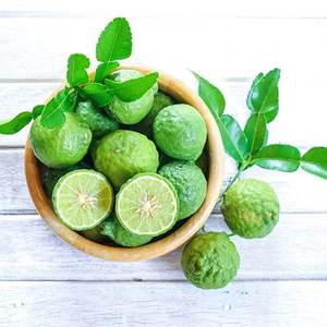 Compre Aceite Esencial Puro de Cáscara de Bergamota (Prensado en Frío Italiano) - Proveedor y Mayorista de Exportación a Precios Competitivos - Product Image 1