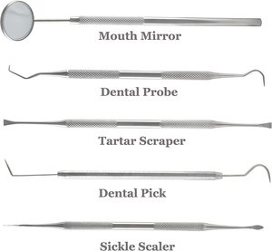 Instrumentos de Obturación de Amalgama/Condensadores/Aplicadores - Product Image 3