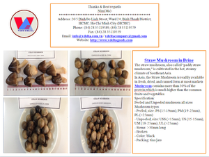 VENTE DE CHAMPIGNONS DE PAILLE SALÉS au VIETNAM - Vivian Ha +84 33 88 20 462 - Product Image 6