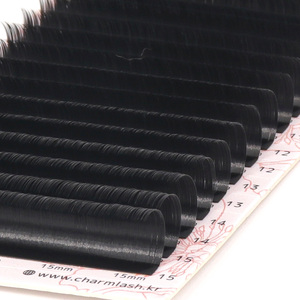 Extensiones de Pestañas de Fibra PBT Coreanas con Puntas Divididas, Forma Elíptica, Fáciles de Abanicar, Cajas de Papel Personalizadas, Curvatura BC, Proveedores de Vietnam - Product Image 1