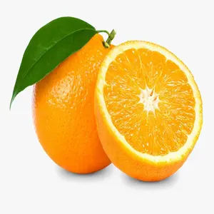 저렴한 비용으로 신선한 스타일 발렌시아 오렌지 이집트에서 높은 품질