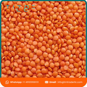 Excellente qualité de haricots Masoor entiers séchés biologiques en vrac provenant d'un fournisseur fiable - Product Image 6