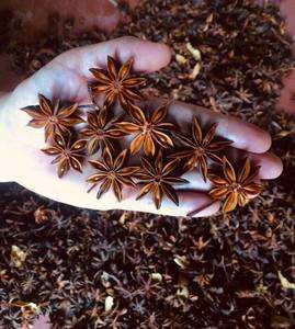 Flor de anís estrellado/Hinojo dulce, para aceite, exporta desde Vietnam/Ms. KIO HYUNH + 84 375 de 8904 - Product Image 2