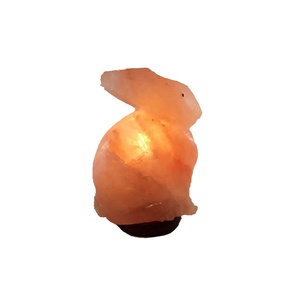 Experimente un ambiente caprichoso con lámparas de sal artesanales en forma de animal, descubra el encanto juguetón de la lámpara de sal en forma de perro - Product Image 6