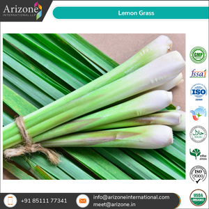 Herbe de citron vert de qualité supérieure | Épices et herbes | Tisane | Assaisonnements | - Product Image 2