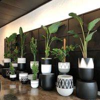 Pot de fleurs moderne en fibre-ciment, peinture lisse, motif noir, pour petit jardin de plantes succulentes