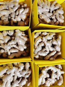 Jengibre a granel, jengibre fresco en VIETNAM, Ms.Tracy - Product Image 2