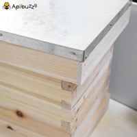 Boîte en bois pour abeilles, 50 pièces, accessoire pour apiculteur, soins du miel, équipement pour apiculteur