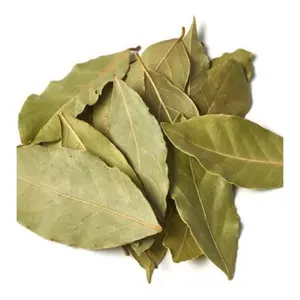 Natural new dried whole Bay leaf laurel leaf Laurus nobilis for spice