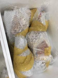 CONCHA DE CARACOLA, CONCHA DE ABALON, CONCHA MARINA, CONCHA MARINA NATURAL en VIETNAM - Product Image 6