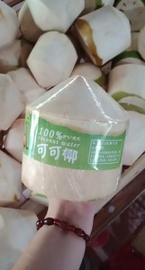 มะพร้าวสด (Viber + 84 971629648) - Product Image 3