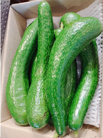 Premium diepvriesavocado uit Vietnam - IQF stukjes en halveën, zoete avocado puree voor foodservice en retail - Meneer Alex