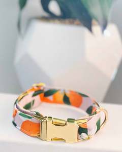 Laisse corde pour chien en coton avec collier Clementine Drops: Collier pour chien - Product Image 1