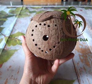 Lampe industrielle en coquille de noix de coco, artisanat décoratif fait à la main, - Product Image 3