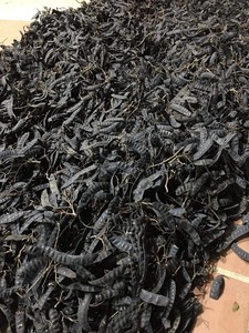 Entrega rápida de langosta seca de Grado Superior Sra. Angela - Product Image 6