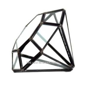 Terrarium Edelstahl und Klarglas Sukkulente Luft pflanzen Moderne Pentagon Geometric Home Office Tischplatte 8x8x12 Zoll - Product Image 6