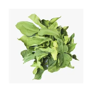 Organic Kaffir Lime Leaves /Pure Dried Makrut Lime Leaves From Vietnam Wholesale Premium Grade