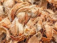 Fiber de coco en noix de coco naturelle, Vdelta, Fiber en coco/Ms, bura: 84 918 509071