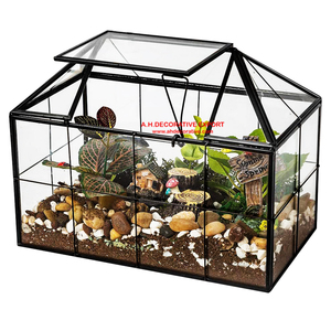 Terrario de cristal con forma de casa para flores, caja de exhibición para plantas suculentas, contenedor de decoración moderna de mesa - Product Image 2