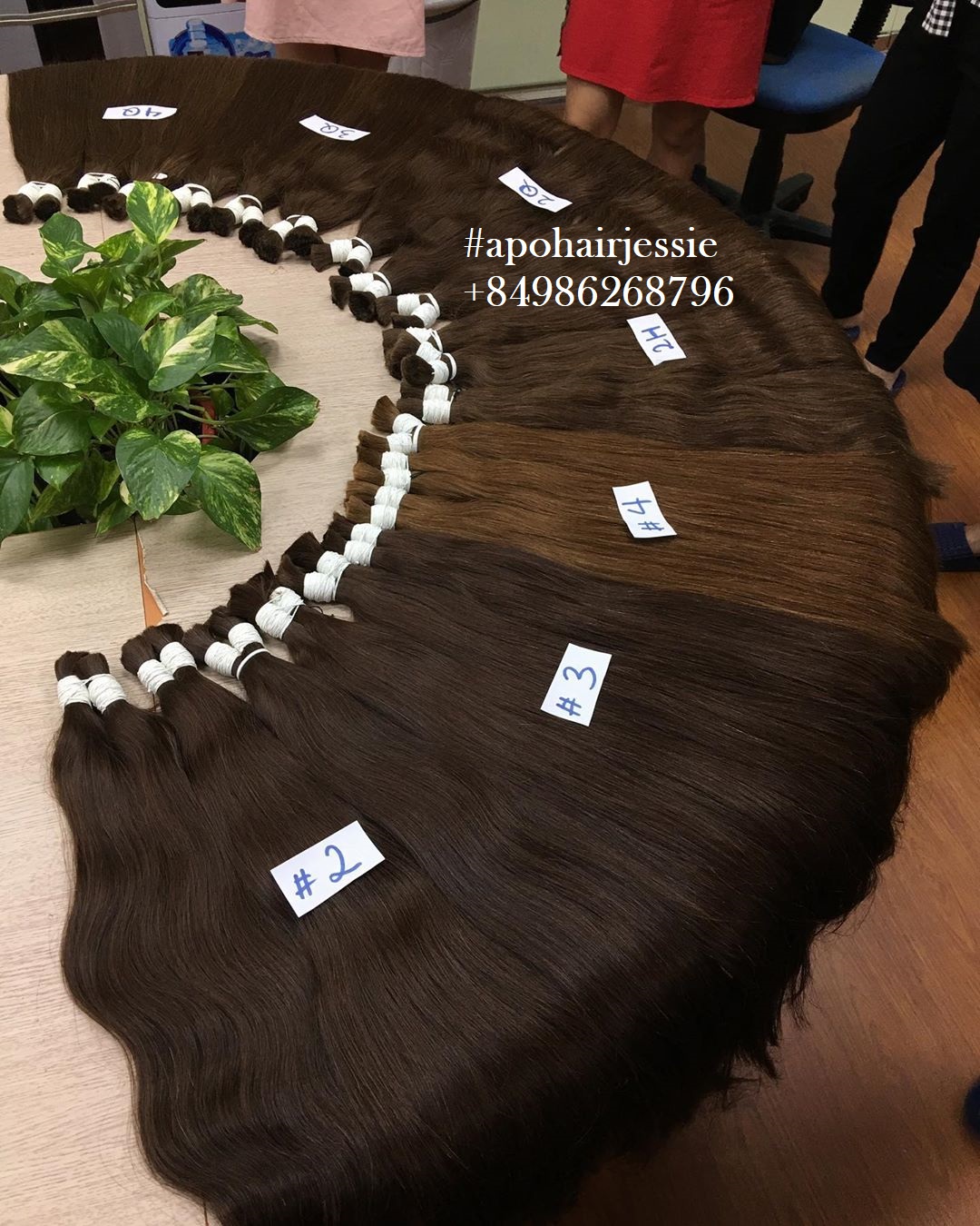BROWN COLOR