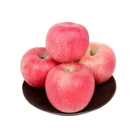 Taze yeşil Granny Smith elma/taze kırmızı Fuji elmaları/kraliyet Gala/kırmızı lezzetli