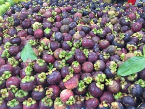 Mangostán Fresco de Primera Calidad, 5-10 kg, Empacado en Caja de Cartón, Sra. Laura +84 896611913, de Vietnam, Listo para Comer - Product Image 5