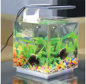 คุณภาพสูงติดผนังอะคริลิปลาถัง - Product Image 6