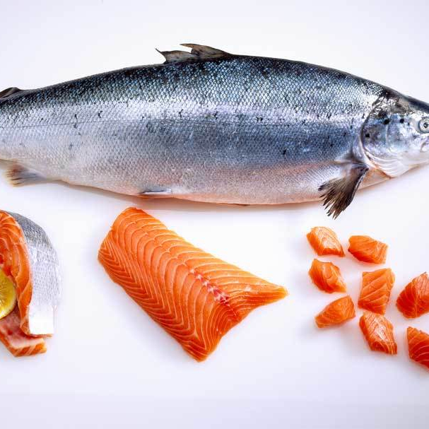 wholesale organic pink salmon price