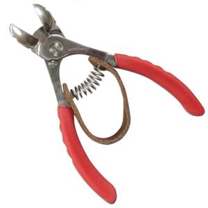 Cisaille pour récolte des fruits, favorise le jardinage et les soins de la pelouse - Product Image 6