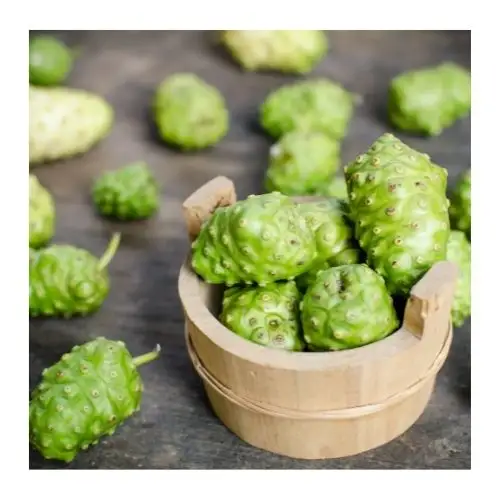 Frozen Fresh Noni Fruit At Great Prices And High Quality