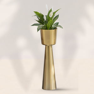 Maceta de hoja de Metal de diseño Vintage fabricada en fábrica india, acabado dorado, decoración de suelo de jardín para el hogar, maceta - Product Image 2