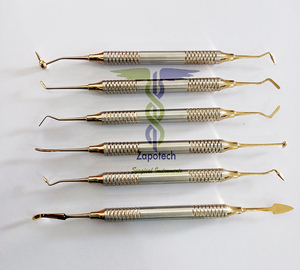 Juego de Instrumentos Quirúrgicos de Acero Inoxidable de Alta Calidad para Rellenos Dentales de Composite, Fuente de Alimentación Manual - Product Image 5