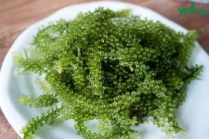 Uvas de mar deshidratadas, uvas de mar, ámbar + 84383004939 - Product Image 5